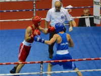 Роленко и Пинчук вышли в 188; финала ЧЕ по боксу среди молодежи