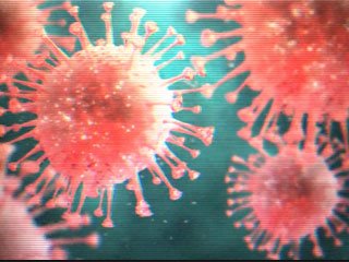 В США и Канаде до мая запретили все массовые мероприятия из-за пандемии коронавируса