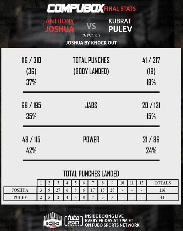 Статистика ударов боя Джошуа - Пулев