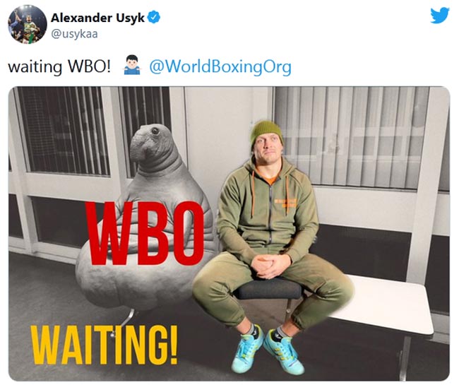 Усик обратился к WBO по поводу своего следующего боя