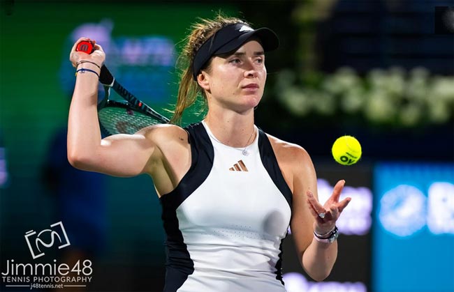 WTA-500. Чарльстон. Світоліна зачохлила ракетку у третьому колі